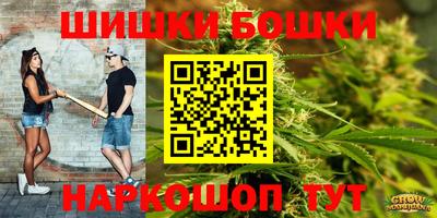 spice Краснознаменск