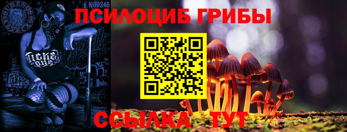 Коммунар  Галлюциногенные грибы прущие грибы  где можно купить наркотик  Вход с VPN 